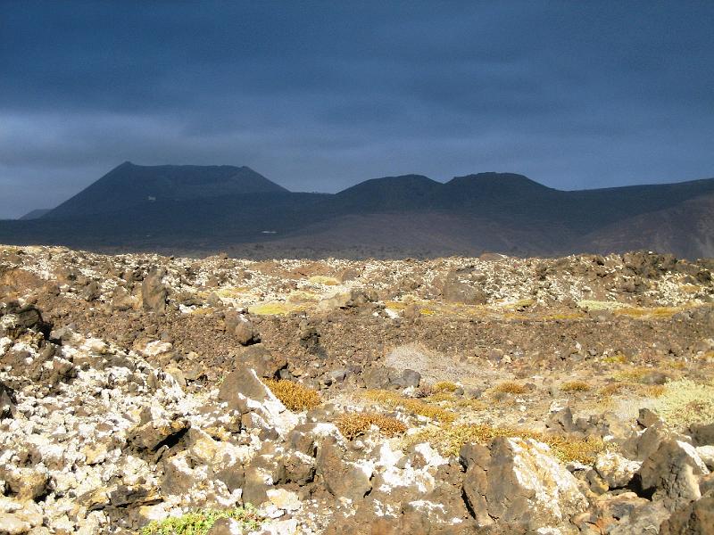 IMG_1479.JPG - Typische Landschaft