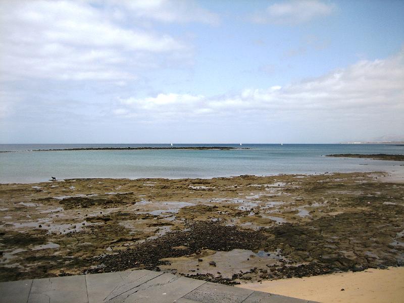 IMG_1485.JPG - Arrecife