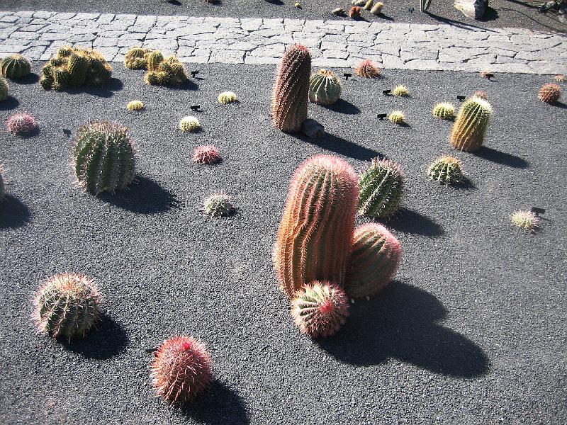 IMG_1521.JPG - Jardín de Cactus