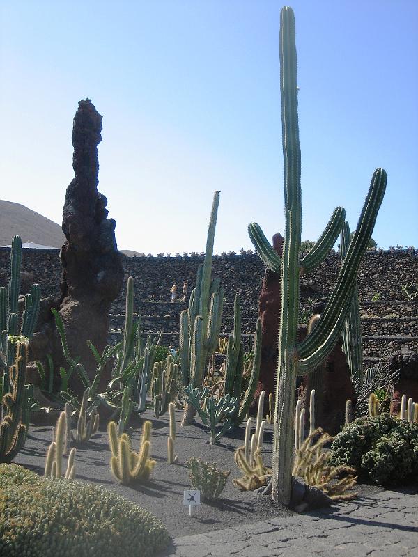 IMG_1525.JPG - Jardín de Cactus