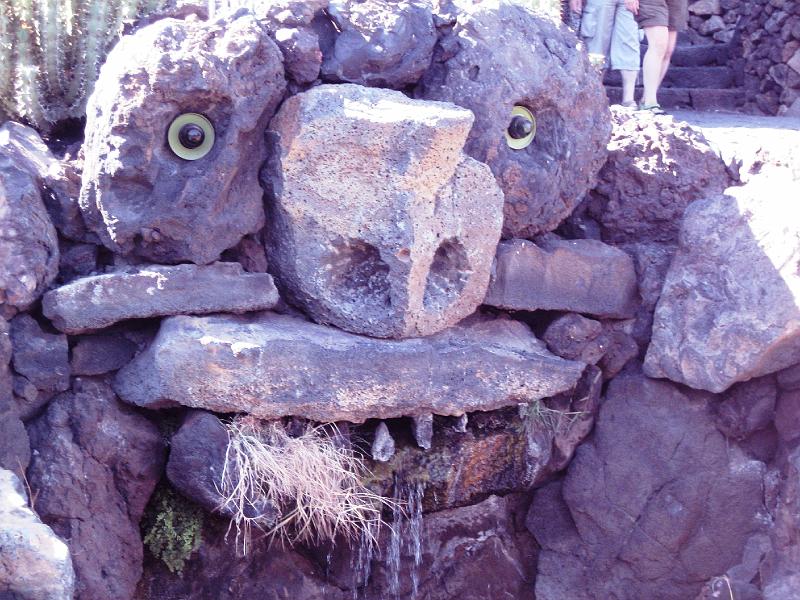 IMG_1533.JPG - Jardín de Cactus