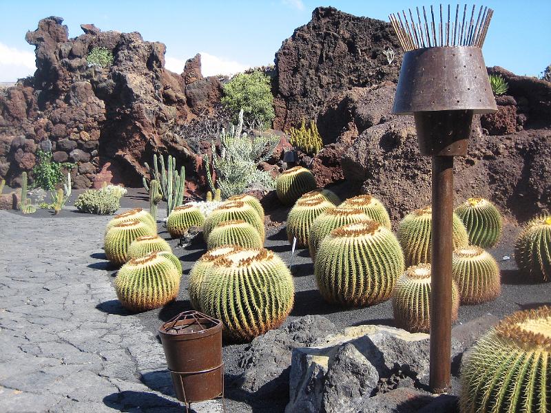 IMG_1535.JPG - Jardín de Cactus