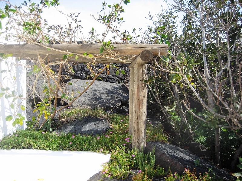 IMG_1637.JPG - César Manrique's Vorgarten