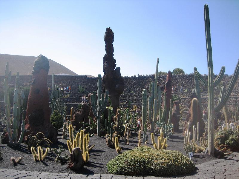 IMG_1556.JPG - Jardín de Cactus